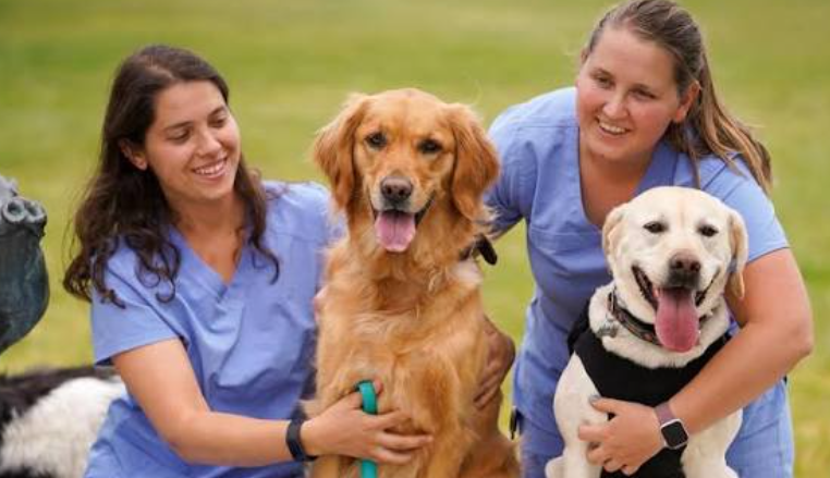 ANIMAL CARE WORKER